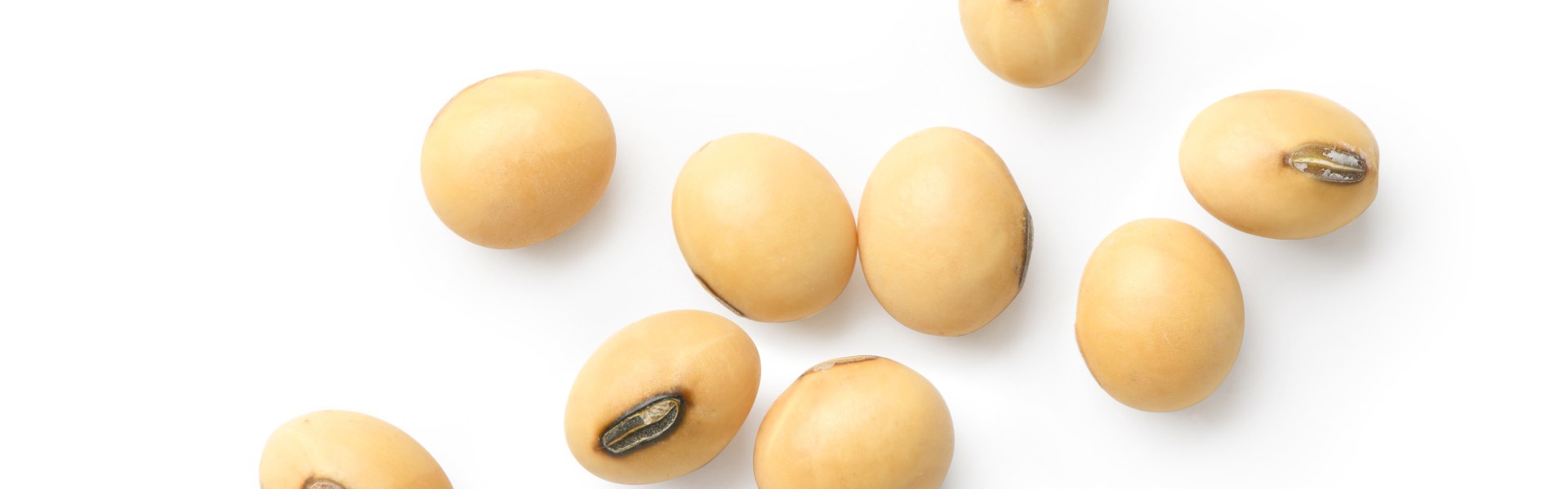 Soybean Wax Paper: Plant-Based Material for Food and Retail Packaging